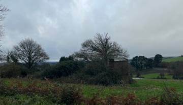 Finca con casa (para rehabilitar) en Reigosa (A Pastoriza)